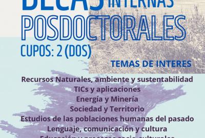 Flyer Becas Internas Postdoctorales Cofinanciadas UNPA- CONICET