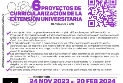 Flyer convocatoria 6 Proyectos Curricularización