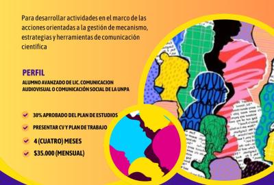 Flyer Beca SECYT